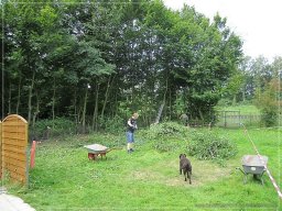 Plasterarbeiten 2012